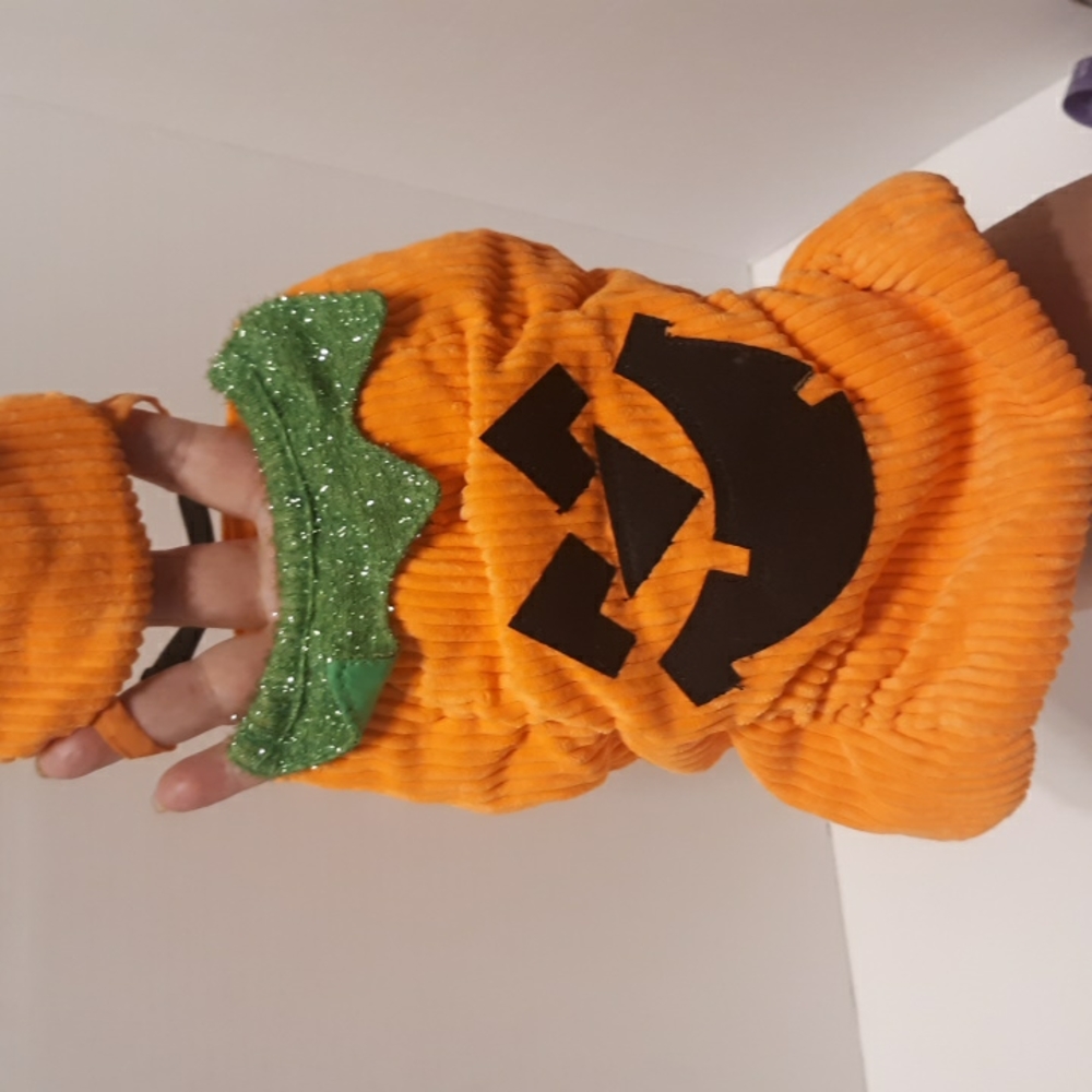 Pet costume